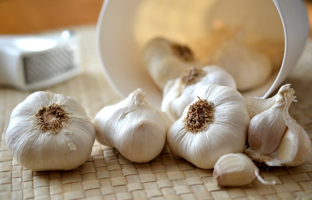 Garlic - benefits, uses and side effects